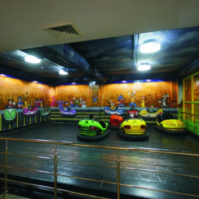 R. K. Mall, Udaipur
