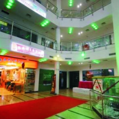 R. K. Mall, Udaipur